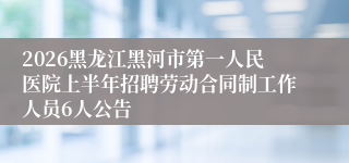 2026黑龙江黑河市第一人民医院上半年招聘劳动合同制工作人员6人公告