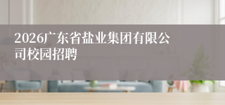 2026广东省盐业集团有限公司校园招聘