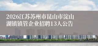2026江苏苏州市昆山市淀山湖镇镇管企业招聘13人公告