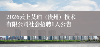 2026云上艾珀（贵州）技术有限公司社会招聘1人公告