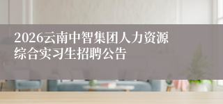2026云南中智集团人力资源综合实习生招聘公告