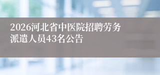 2026河北省中医院招聘劳务派遣人员43名公告