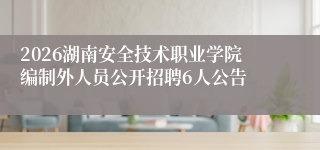 2026湖南安全技术职业学院编制外人员公开招聘6人公告