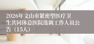 2026年文山市紧密型医疗卫生共同体总医院选调工作人员公告（15人）
