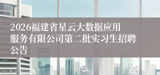 2026福建省星云大数据应用服务有限公司第二批实习生招聘公告