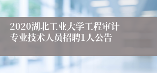 2020湖北工业大学工程审计专业技术人员招聘1人公告