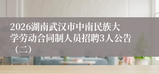 2026湖南武汉市中南民族大学劳动合同制人员招聘3人公告（二）