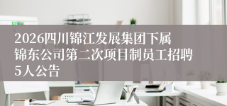 2026四川锦江发展集团下属锦东公司第二次项目制员工招聘5人公告