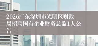 2026广东深圳市光明区财政局招聘国有企业财务总监1人公告
