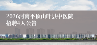 2026河南平顶山叶县中医院招聘4人公告