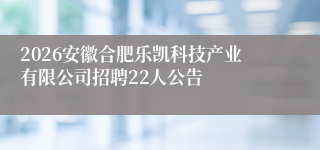 2026安徽合肥乐凯科技产业有限公司招聘22人公告