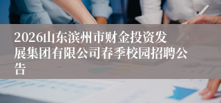 2026山东滨州市财金投资发展集团有限公司春季校园招聘公告