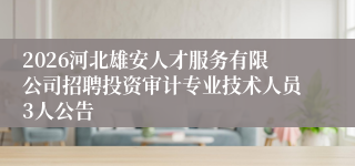 2026河北雄安人才服务有限公司招聘投资审计专业技术人员3人公告