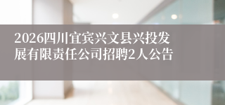 2026四川宜宾兴文县兴投发展有限责任公司招聘2人公告