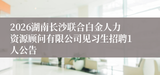 2026湖南长沙联合白金人力资源顾问有限公司见习生招聘1人公告
