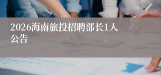 2026海南旅投招聘部长1人公告