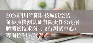 2026四川绵阳科技城低空装备检验检测认证有限责任公司招聘测试技术岗(飞行测试中心)等岗位24人公告