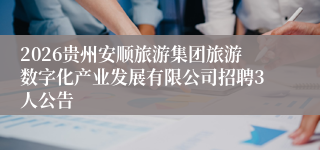 2026贵州安顺旅游集团旅游数字化产业发展有限公司招聘3人公告