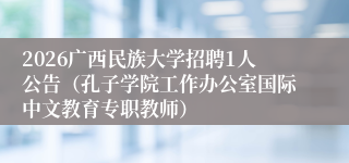 2026广西民族大学招聘1人公告（孔子学院工作办公室国际中文教育专职教师）