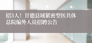招3人!甘德县域紧密型医共体总院编外人员招聘公告