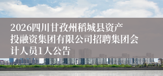 2026四川甘孜州稻城县资产投融资集团有限公司招聘集团会计人员1人公告