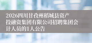 2026四川甘孜州稻城县资产投融资集团有限公司招聘集团会计人员的1人公告