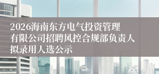 2026海南东方电气投资管理有限公司招聘风控合规部负责人拟录用人选公示