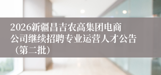 2026新疆昌吉农高集团电商公司继续招聘专业运营人才公告(第二批)