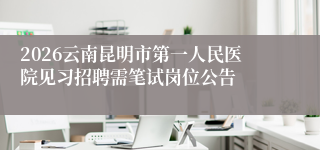 2026云南昆明市第一人民医院见习招聘需笔试岗位公告