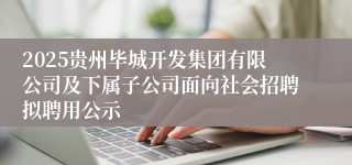 2025贵州毕城开发集团有限公司及下属子公司面向社会招聘拟聘用公示