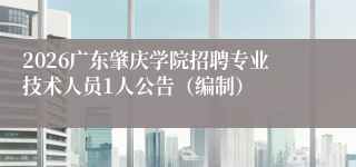 2026广东肇庆学院招聘专业技术人员1人公告(编制)