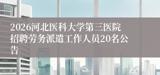2026河北医科大学第三医院招聘劳务派遣工作人员20名公告