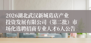 2026湖北武汉新城葛店产业投资发展有限公司(第二批)市场化选聘招商专业人才6人公告