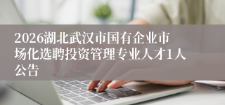 2026湖北武汉市国有企业市场化选聘投资管理专业人才1人公告