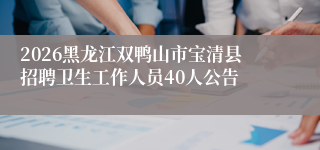 2026黑龙江双鸭山市宝清县招聘卫生工作人员40人公告