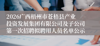 2026广西梧州市苍梧县产业投资发展集团有限公司及子公司第一次招聘拟聘用人员名单公示