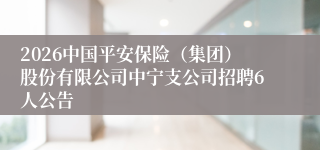 2026中国平安保险(集团)股份有限公司中宁支公司招聘6人公告