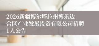 2026新疆博尔塔拉州博乐边合区产业发展投资有限公司招聘1人公告