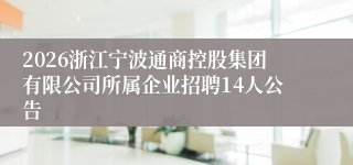 2026浙江宁波通商控股集团有限公司所属企业招聘14人公告