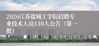 2026江苏盐城工学院招聘专业技术人员110人公告(第一批)