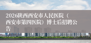 2026陕西西安市人民医院(西安市第四医院)博士后招聘公告