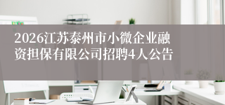 2026江苏泰州市小微企业融资担保有限公司招聘4人公告