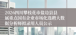 2026四川攀枝花市盐边县县属重点国有企业市场化选聘大数据分析师拟录用人员公示