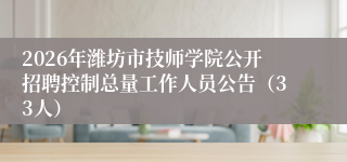 2026年潍坊市技师学院公开招聘控制总量工作人员公告(33人)