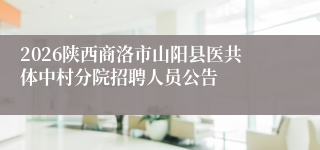 2026陕西商洛市山阳县医共体中村分院招聘人员公告