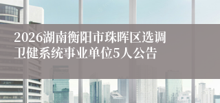 2026湖南衡阳市珠晖区选调卫健系统事业单位5人公告