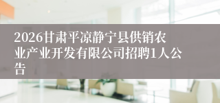 2026甘肃平凉静宁县供销农业产业开发有限公司招聘1人公告
