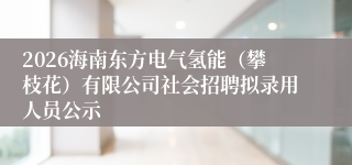2026海南东方电气氢能(攀枝花)有限公司社会招聘拟录用人员公示