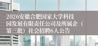 2026安徽合肥国家大学科技园发展有限责任公司及所属企(第三批)社会招聘6人公告