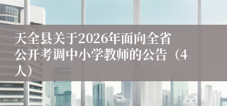 天全县关于2026年面向全省公开考调中小学教师的公告(4人)